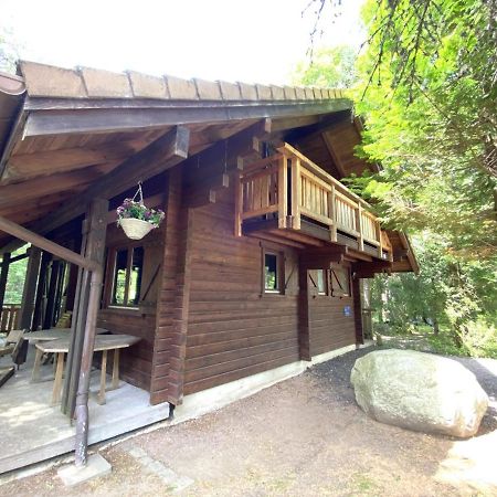 Le Renard Chalet En Bois La Bresse Eksteriør billede