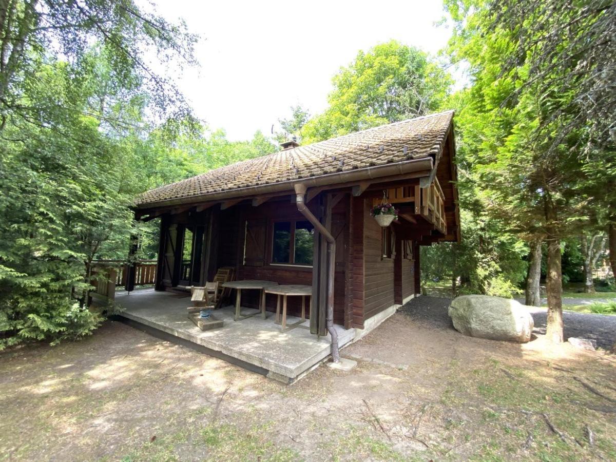 Le Renard Chalet En Bois La Bresse Eksteriør billede