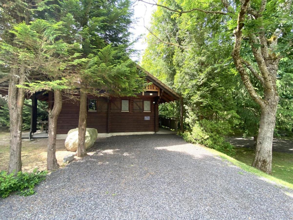 Le Renard Chalet En Bois La Bresse Eksteriør billede